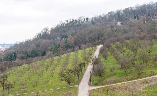 istock Petrin Gardens in Prague, Czech. Early Spring 1498250954