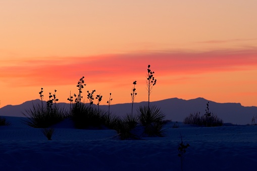 White Sands national park in New Mexico. The gypsum sands take on the color of the sky during sunset.