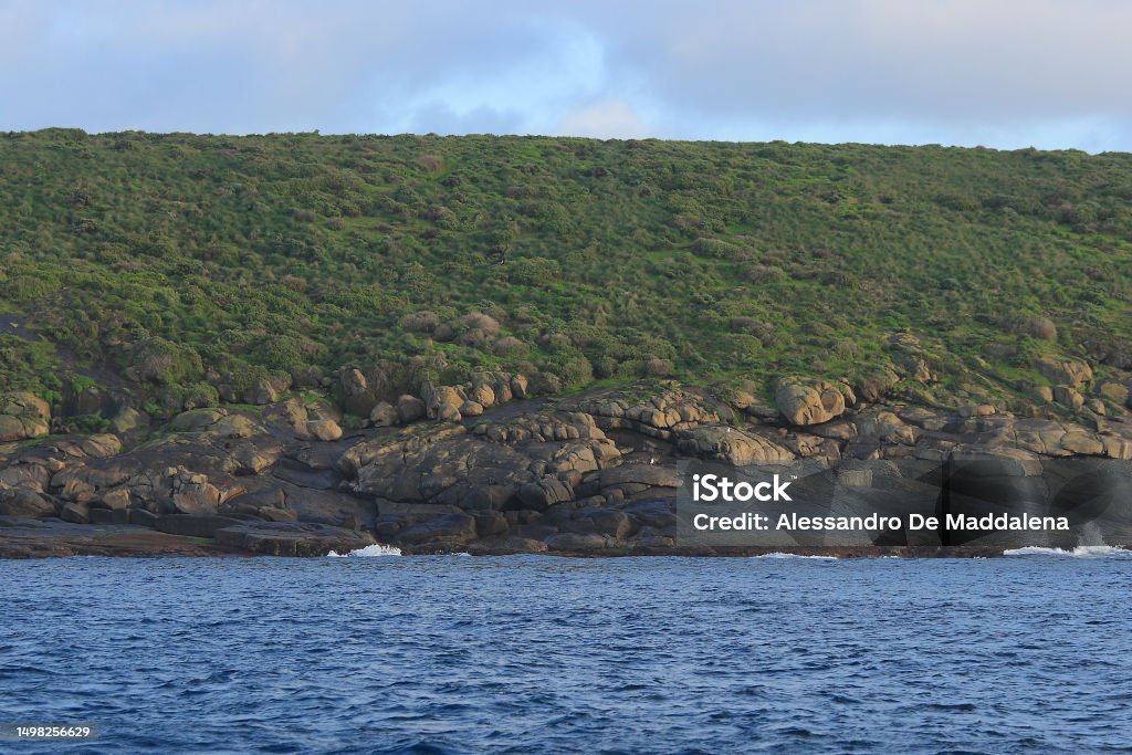 Neptune Islands South Australia Stock Photo Download Image Now