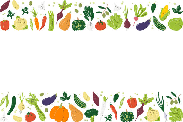 Horizontal rectangle frame template and copy space Horizontal banner composition with eco organic vegetables. Rectangle frame of various fresh veggies. Agricultural food background concept design. Hand drawn flat vector illustration with copy space cauliflower nutrition stock illustrations