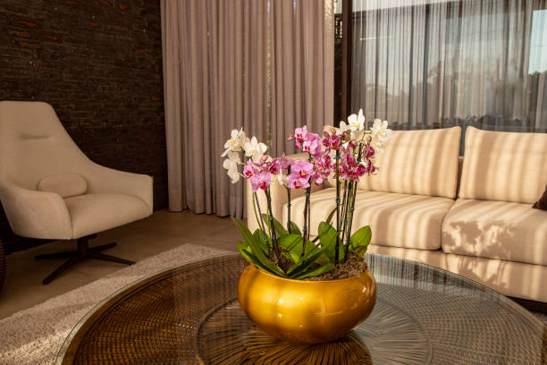 istock interior of living room with sofa and orchids 1498256861