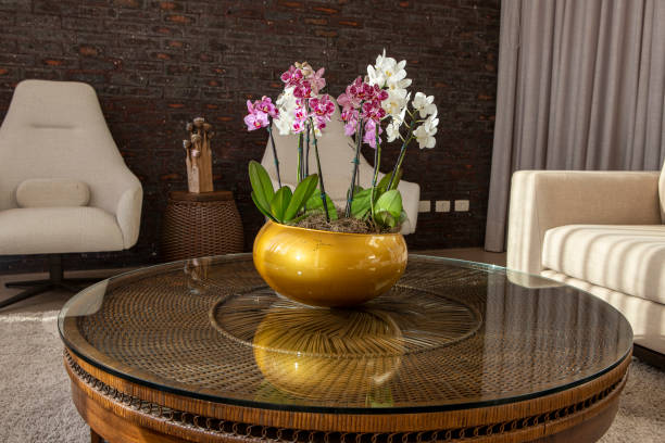 istock interior of living room with sofa and orchids 1498257043