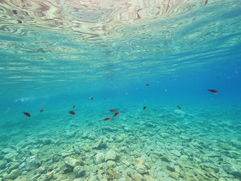 Underwater view in crystal clear lagoon on the Greek island