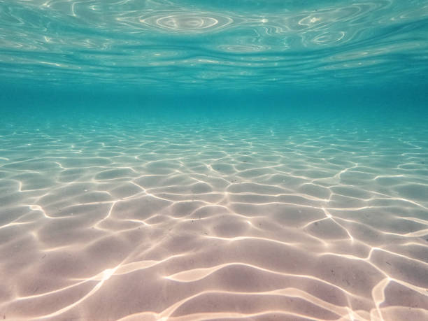 istock Beautiful blue sea with white sand 1498257971