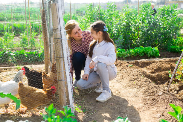 istock girl with her mom feeding hen 1498258301