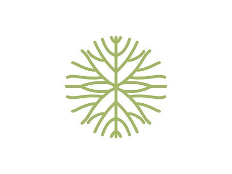 Tree Root Circle Green Branch Tree Root Circle Template Vector Illustration Stock ...