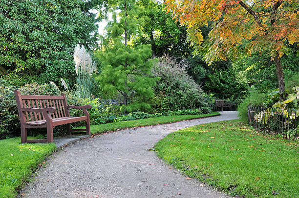 Pathway Winding through a Green Garden stock photo