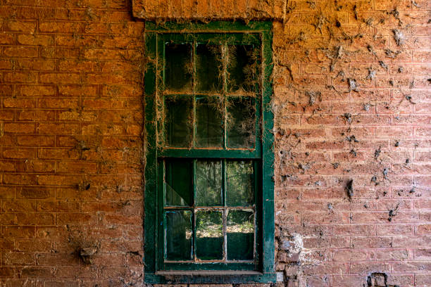 istock Texture of brick wall and window with spider web in old historic abandoned train station 1498273743