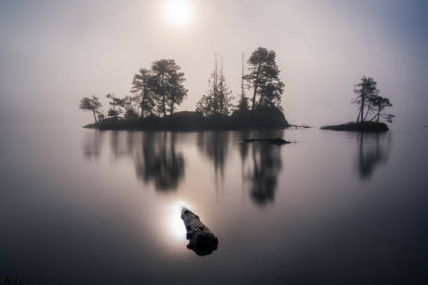 istock Gordon Bay Lake Cowichan 1498274182