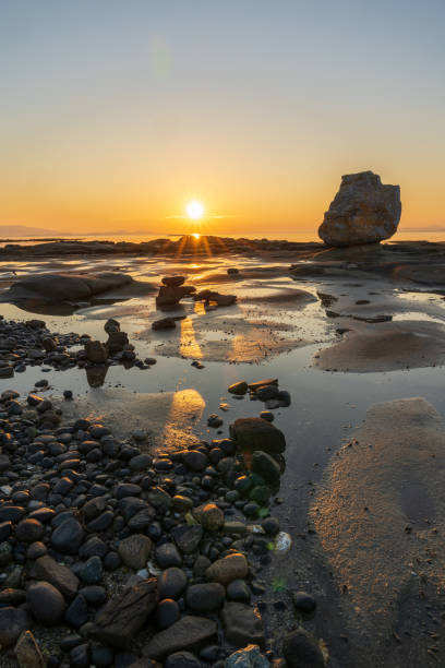 istock Heron Rocks Hornby Island BC 1498274202