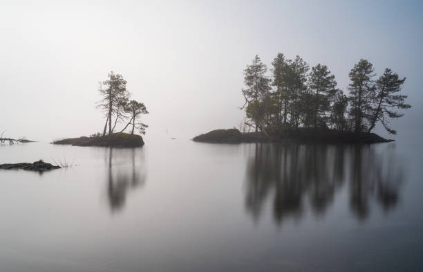 istock Gordon Bay Lake Cowichan 1498274744