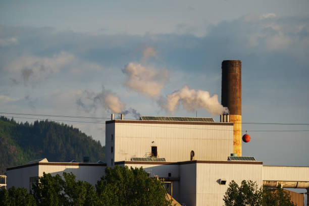 istock Port Alberni Paper Mill 1498275107