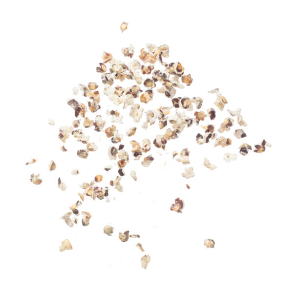 Popcorn Exploder 170+ Popcorn Exploding Isolated Mid Air Stock Photos, Pictures ...