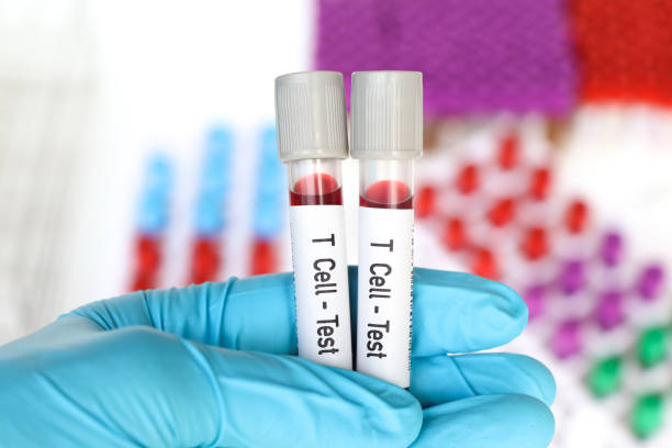 t cell - test, blood sample to analyze in the laboratory - blood red blood cell blood cell blood sample imagens e fotografias de stock