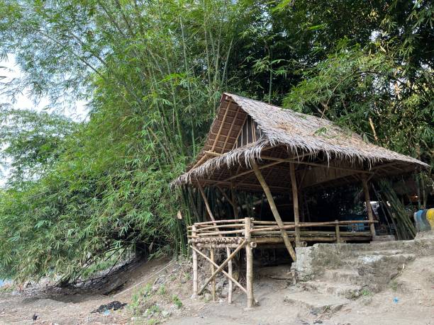 istock Vintage hut made from bamboo tree and straw roof 1498287198