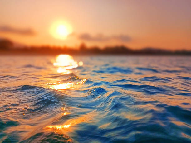 istock Sea wave splash, sunset blurred bokeh background, ocean water surf ripple texture, sunrise soft focus, tropical island beach dawn, sundown orange sun shine reflection, summer holiday, vacation, travel 1498289234