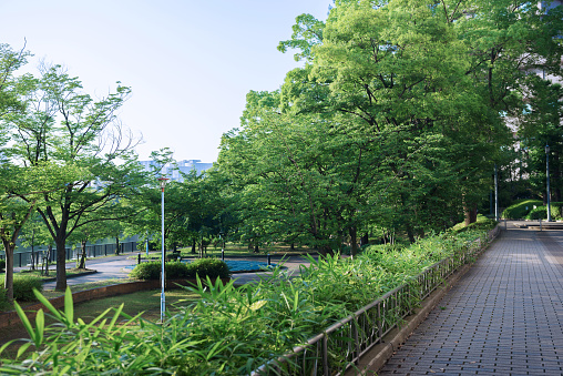 Kema Sakuranomiya Park in the morning, Osaka