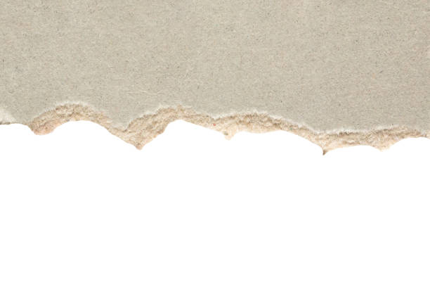 istock Gray ripped paper torn edges strips isolated on white background 1498302478