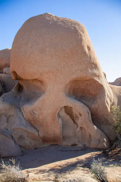 Famous Skull Rock formation of Joshua Tree National Park
