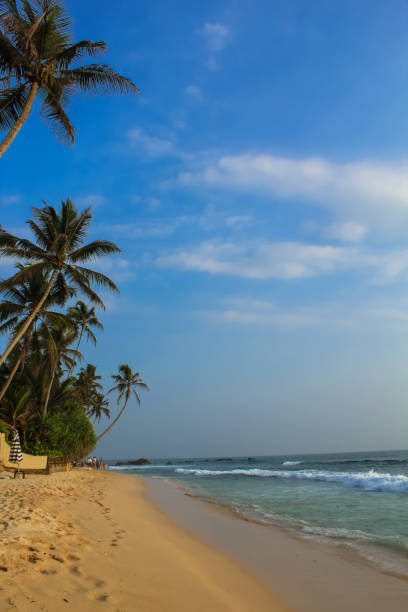 ヤシの木のある熱帯のビーチパラダイス、ダラウェラ、ウナワトゥナ、スリランカ - asia forest sri lanka rock ストックフォトと画像