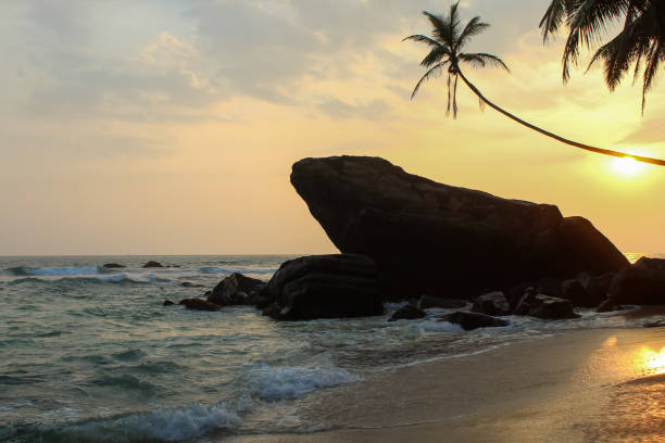 ダラウェラビーチの美しいロマンチックな夕日 - asia forest sri lanka rock ストックフォトと画像
