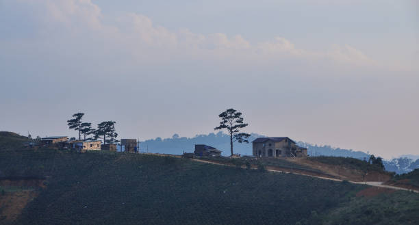 istock Mountain scenery of Dalat, Vietnam 1498311415