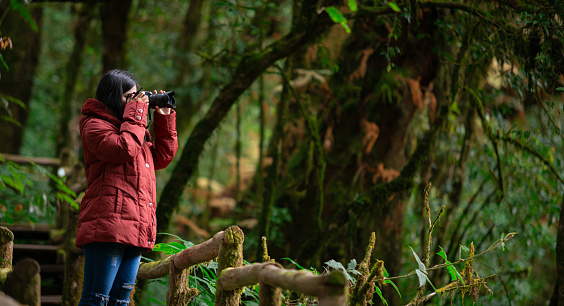 Female photographer taking nature pictures inside the rainforest. travel , Thailand