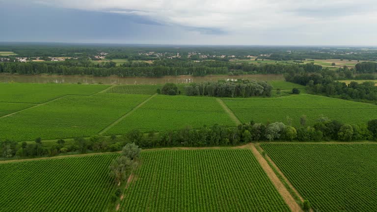 Storm clouds over Bordeaux vineyards in spring