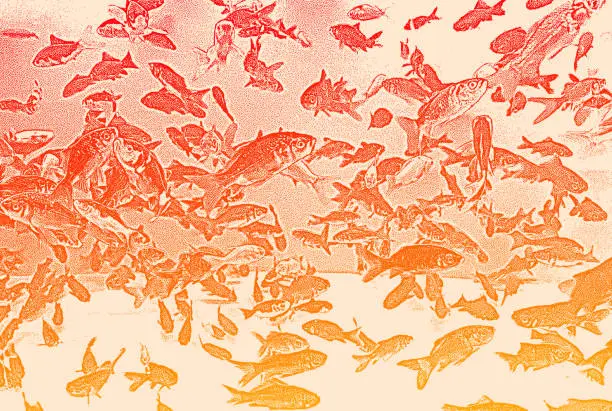 Vector illustration of Goldfish in fish tank