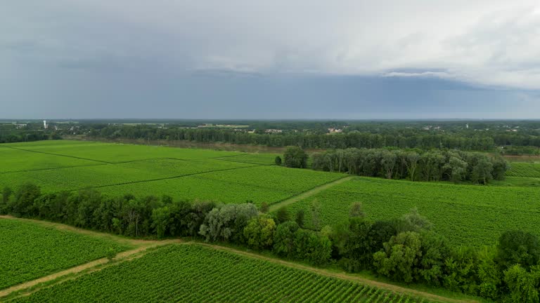 Storm clouds over Bordeaux vineyards in spring