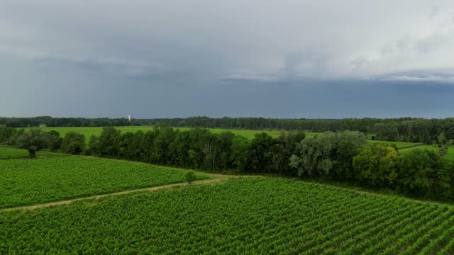 Storm clouds over Bordeaux vineyards in spring