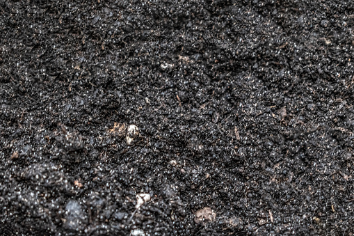 Black soil texture, close-up. Empty chernozem background with copy space