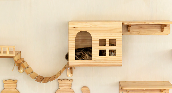 Wooden cat home on wall