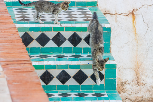 Detail from Saadian Tombs in Marrakesh, an ancient Islamic burial site/cemetery, from the 16th century