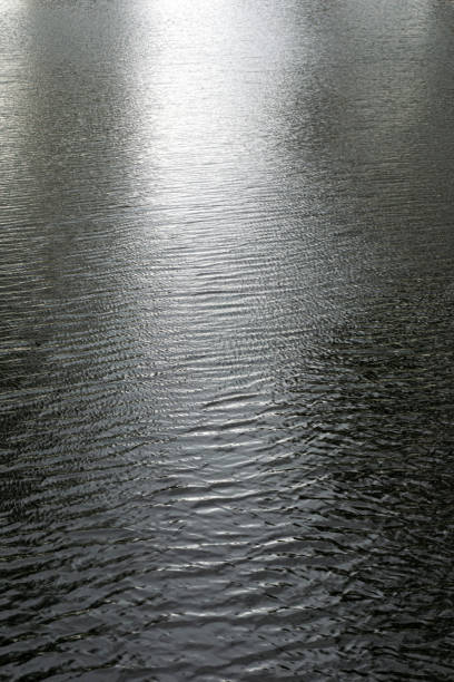 istock Abstract surface of water with ripples 1498323517
