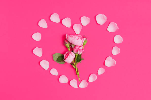 istock Heart Shape Made from Rose Petals on Pink 1498331158