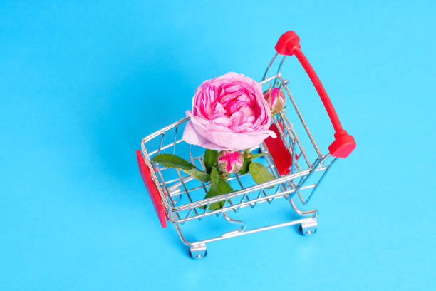 istock Blooming Tea Rose Head in a Miniature Push Cart 1498331186
