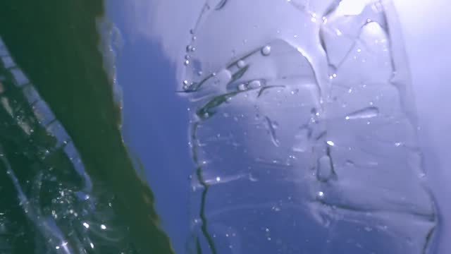 Plastic Bottles Floating In The Sea