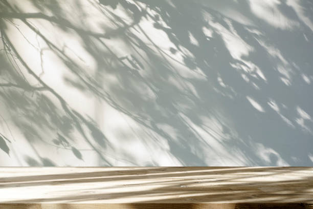 istock Table shadow background. Wooden table and white empty wall with plant shadows. 1498334890
