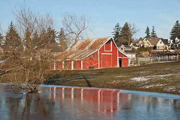 Old Red Barn and Housing Development This well preserved barn is said to be over 100 years old. Here it is shown on a cold winter day. The historic barn sits on a small farm in Edgewood, Washington State, USA. jeff goulden puyallup washington stock pictures, royalty-free photos & images