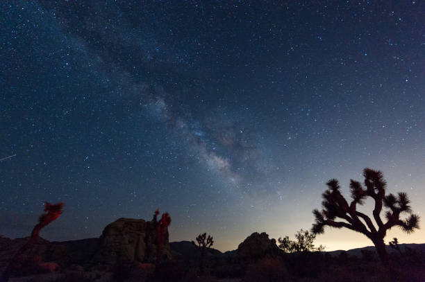 istock The Milky Way over Joshua Tree National Park 1498336894