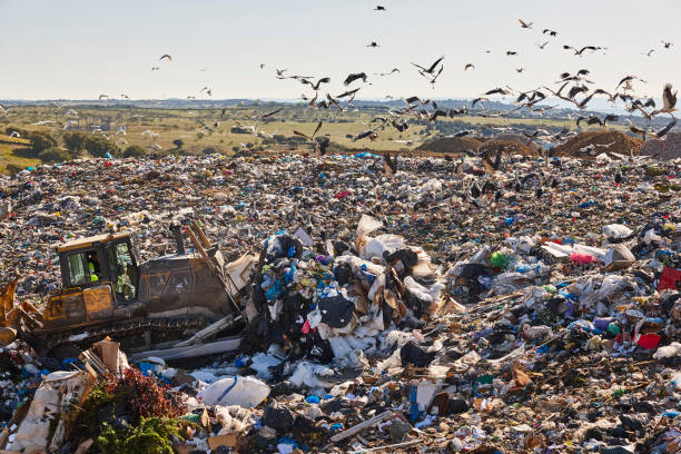 istock Heavy machinery shredding garbage in an open air landfill. Pollution 1498337529