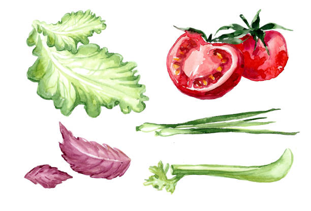istock Salad set of vegetables and fresh herbs. 1498338939