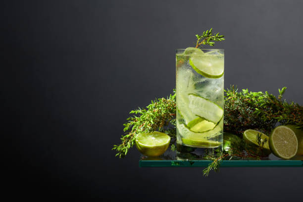 koktajl gin z tonikiem z lodem, limonką, ogórkiem i gałęziami jałowca. - glass ice tonic water frozen zdjęcia i obrazy z banku zdjęć