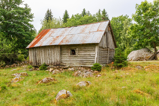 Abandoned old barn on a meadow