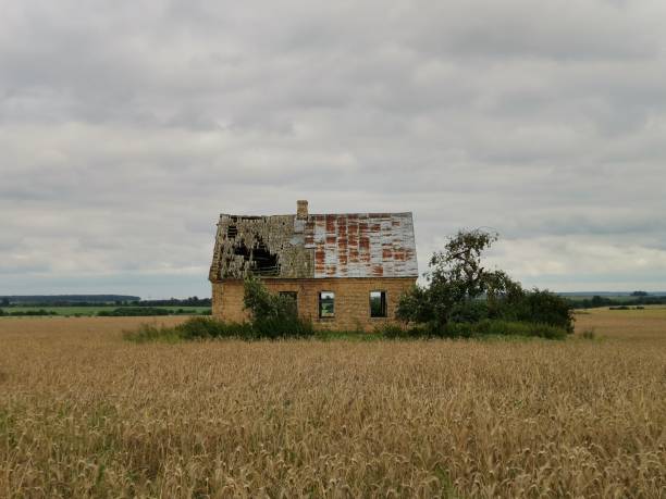 Free picture: Old countryside ranch in wheatfield in summer season