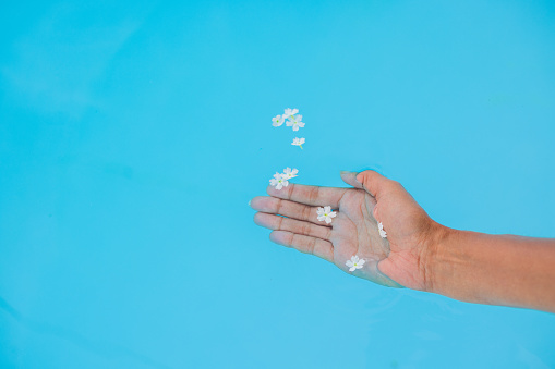 Close up of an unrecognisable persons hand in blue water holding little white flowers in her palm. She is dipping her hand into a swimming pool while on holiday in Montauban, Toulouse South of France.