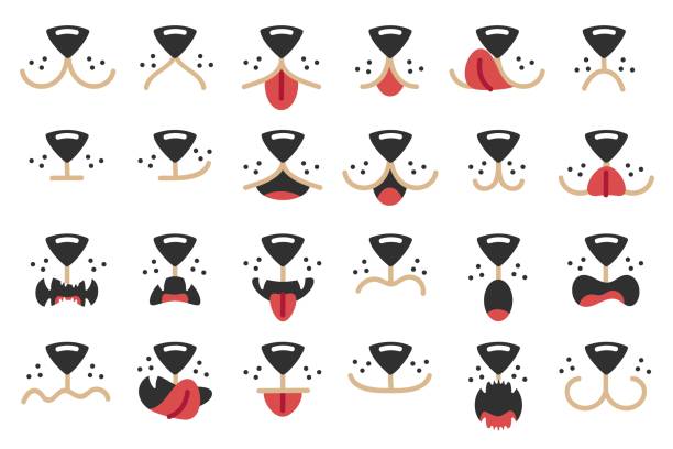 Dogs mouth. Cute pet facial expressions, happy animal mask and face paint dog elements cartoon vector set Dogs mouth. Cute pet facial expressions, happy animal mask and face paint dog elements cartoon vector set. Funny character with different emotions, sad, scared and surprised, isolated collection licking nose stock illustrations