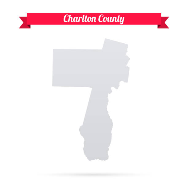 чарльтон — штат джорджия. карта на белом фоне с красным знаменем - charlton stock illustrations