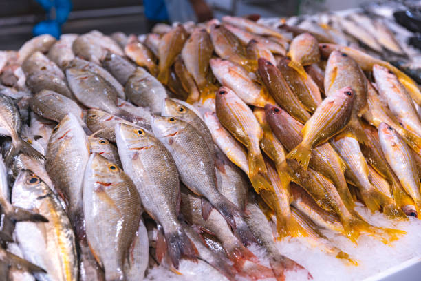 istock Dubai, Deira fish market. 1498356568